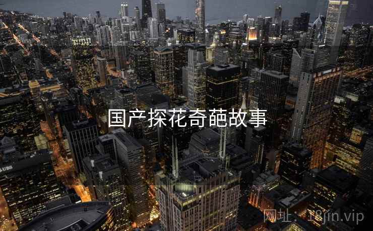 国产探花奇葩故事