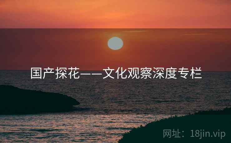 国产探花——文化观察深度专栏