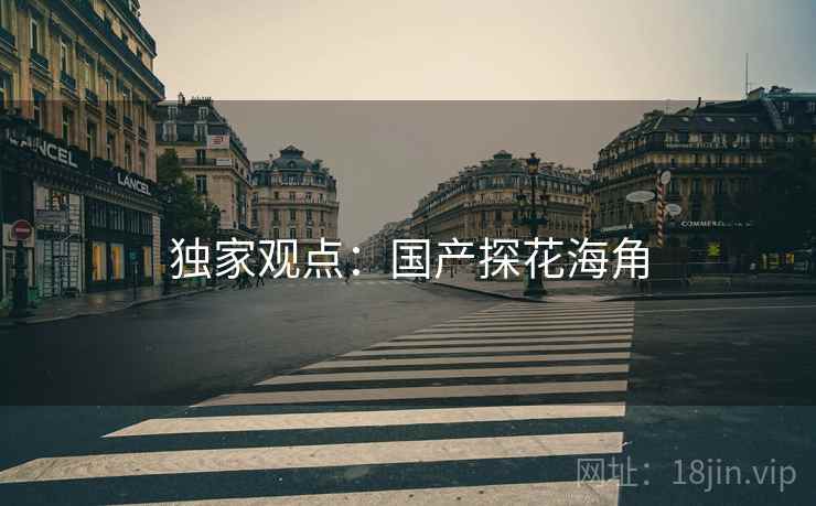 独家观点：国产探花海角