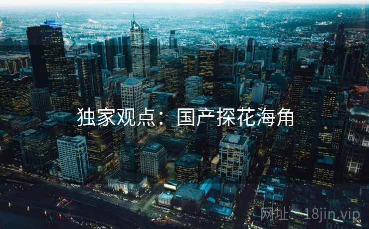 独家观点：国产探花海角