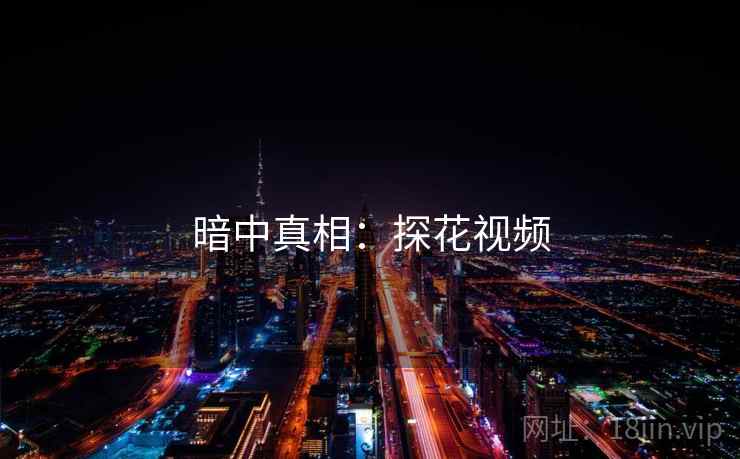 暗中真相：探花视频