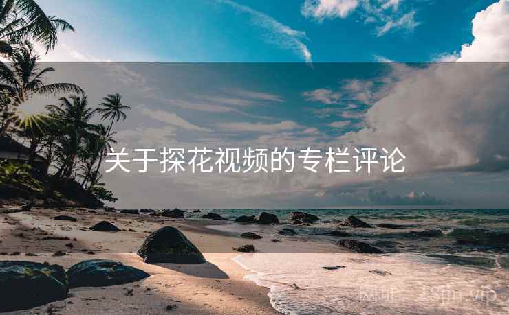 关于探花视频的专栏评论
