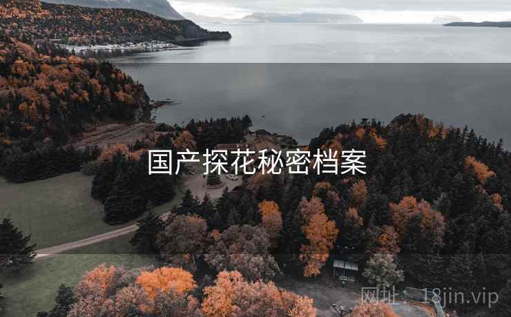 国产探花秘密档案