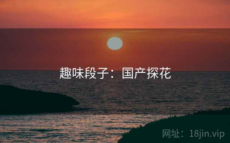 趣味段子：国产探花