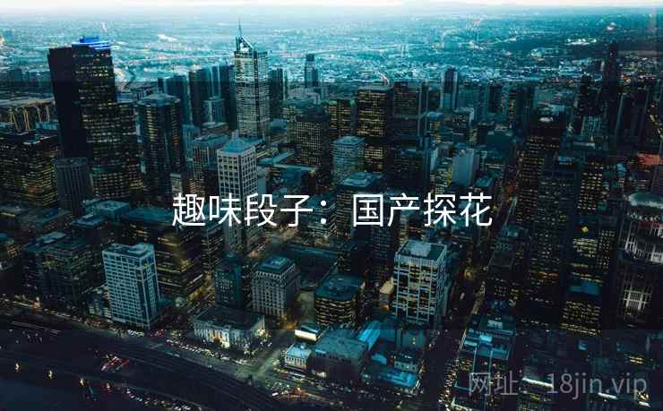 趣味段子：国产探花