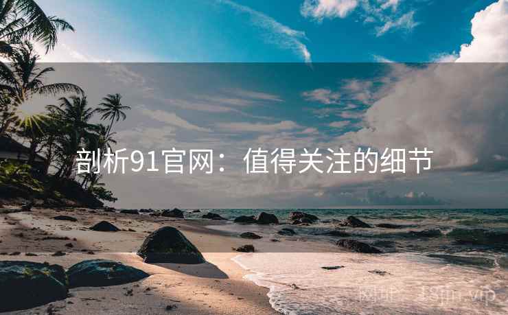剖析91官网：值得关注的细节