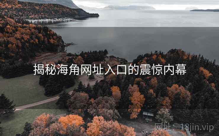 揭秘海角网址入口的震惊内幕