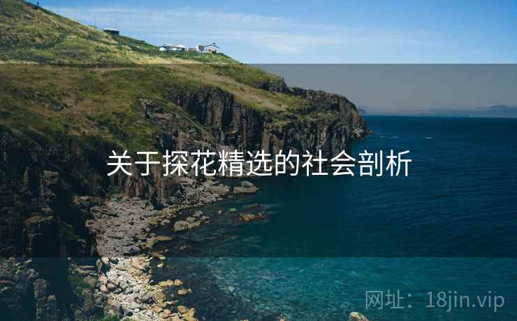 关于探花精选的社会剖析