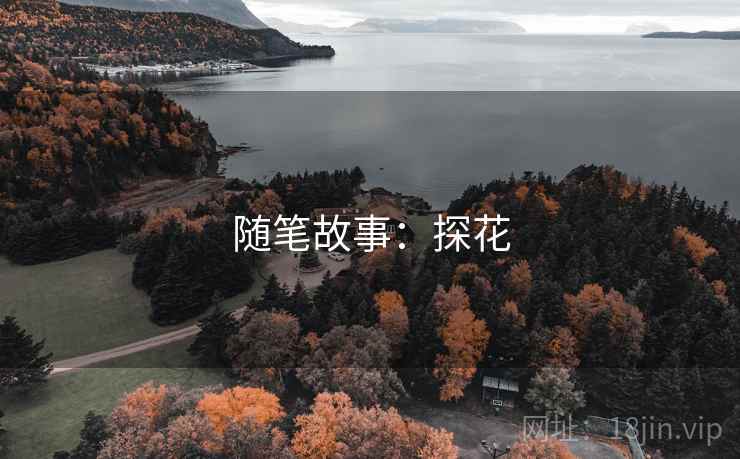 随笔故事：探花