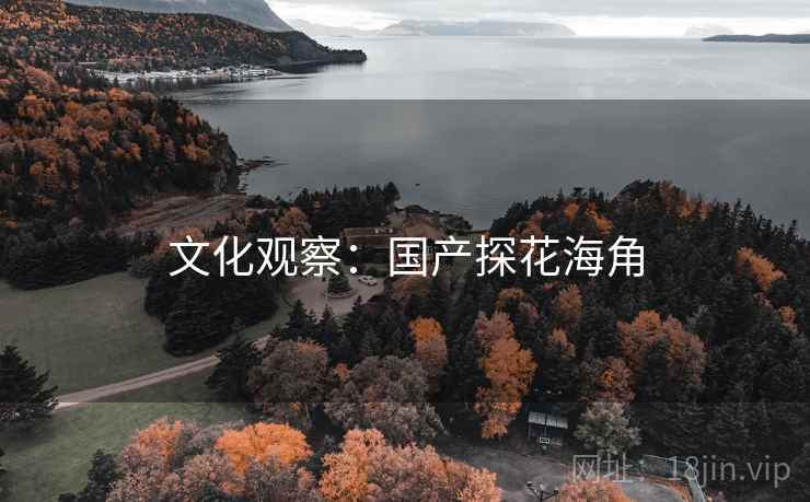 文化观察：国产探花海角