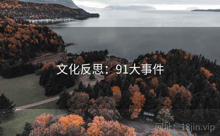 文化反思：91大事件