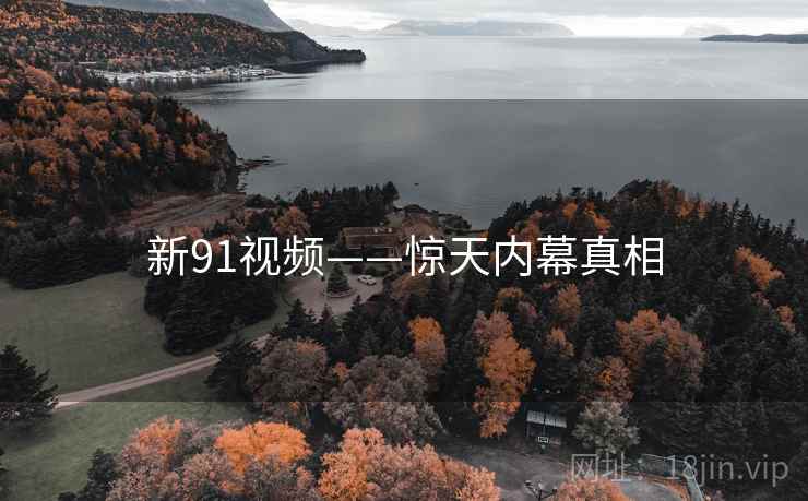 新91视频——惊天内幕真相