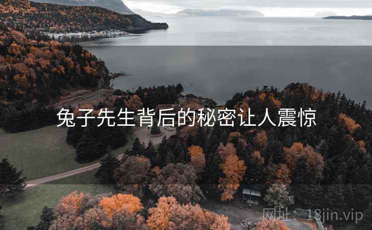 兔子先生背后的秘密让人震惊