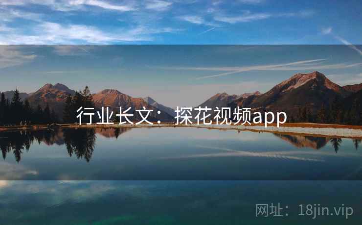 行业长文：探花视频app