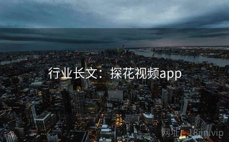 行业长文：探花视频app